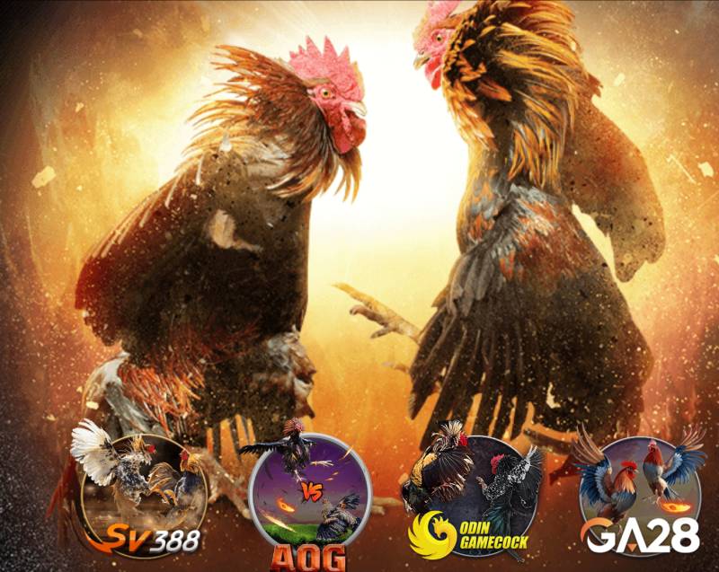 78Win – 78Win.Com Link Vào Nhà Cái 78 Win Đăng Nhập【2025】✔️ Mobile 9 Quy tụ những trường gà hàng đầu châu Á